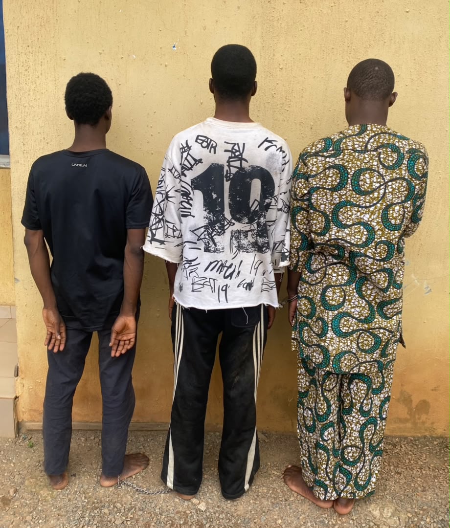 Oyo police Arrest three over illegal same-sex union
